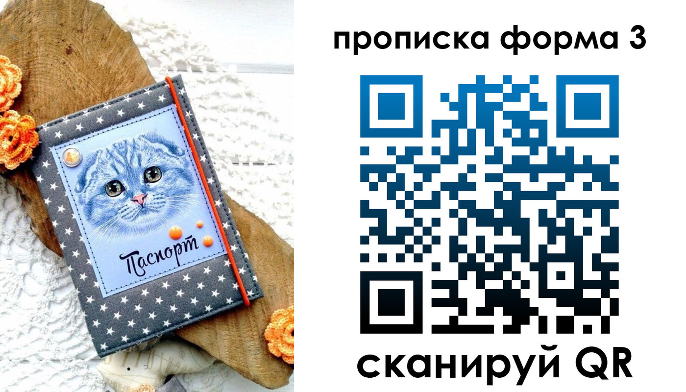 прописка поиск в Сланцах